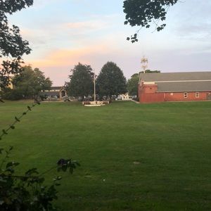 Meet your Posher, Mia